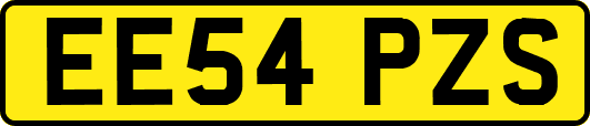 EE54PZS
