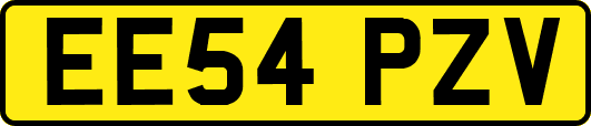 EE54PZV