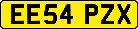 EE54PZX