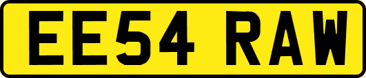 EE54RAW