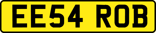 EE54ROB