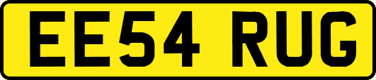 EE54RUG