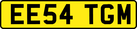 EE54TGM