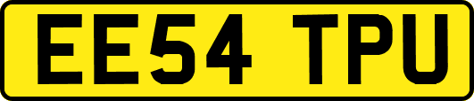 EE54TPU