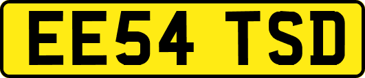 EE54TSD