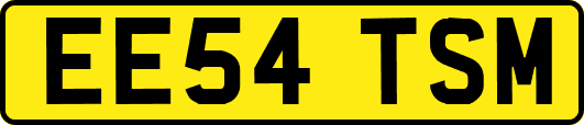 EE54TSM