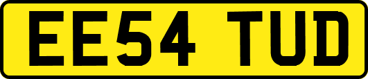 EE54TUD