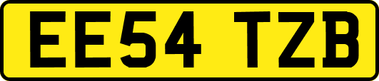 EE54TZB