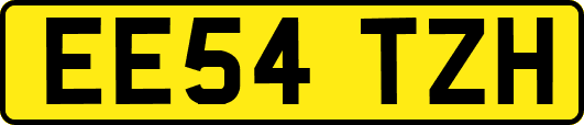 EE54TZH