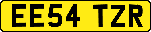 EE54TZR