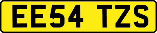 EE54TZS