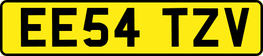 EE54TZV