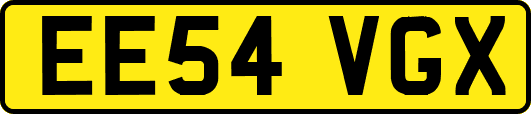 EE54VGX