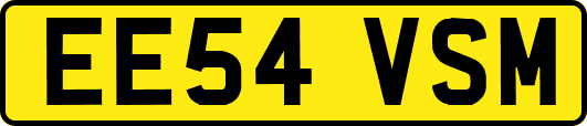EE54VSM