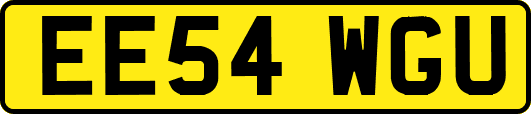 EE54WGU