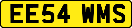 EE54WMS
