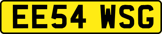EE54WSG