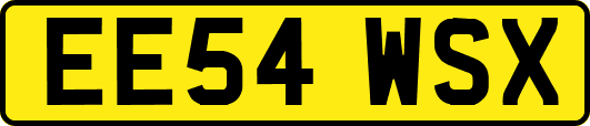 EE54WSX