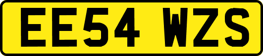 EE54WZS