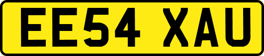 EE54XAU