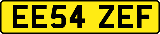 EE54ZEF