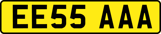 EE55AAA