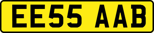 EE55AAB
