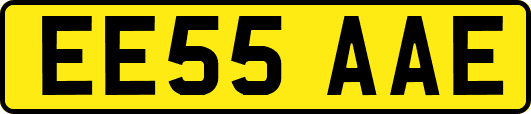 EE55AAE