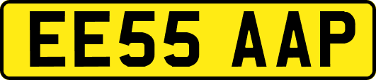 EE55AAP