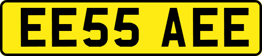EE55AEE