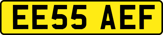 EE55AEF