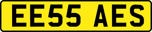 EE55AES