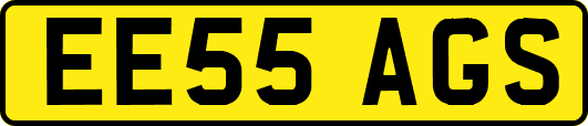 EE55AGS