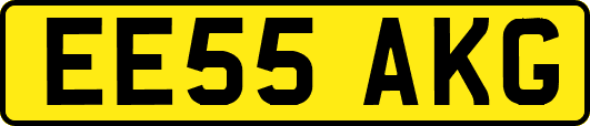 EE55AKG