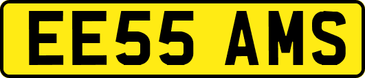 EE55AMS