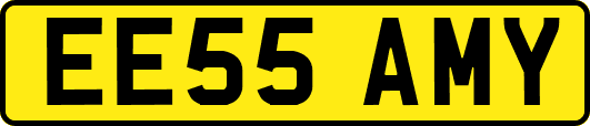 EE55AMY