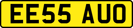 EE55AUO
