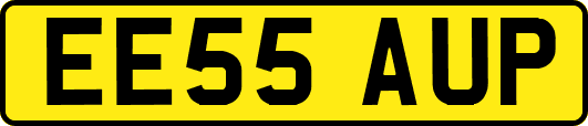 EE55AUP