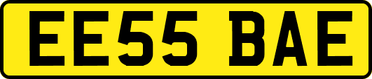 EE55BAE