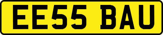 EE55BAU