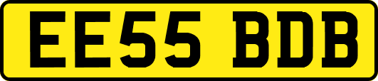 EE55BDB