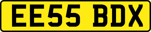 EE55BDX
