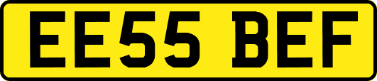 EE55BEF