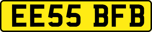 EE55BFB