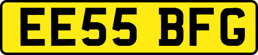 EE55BFG