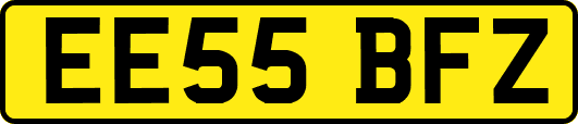 EE55BFZ