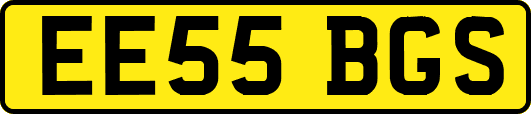 EE55BGS