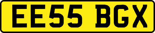 EE55BGX