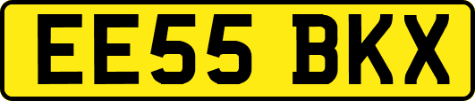 EE55BKX