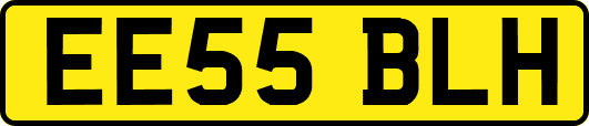 EE55BLH